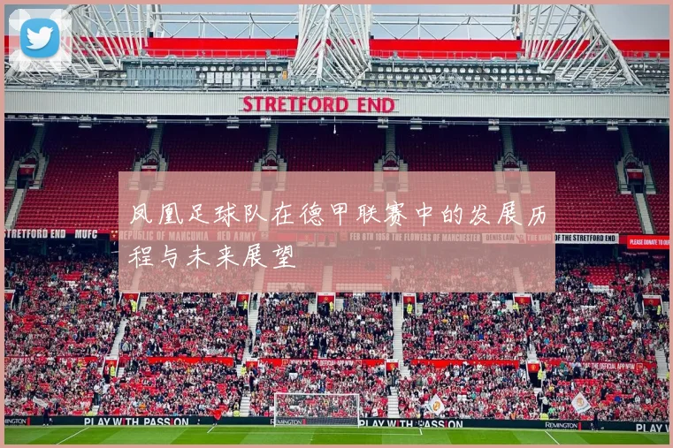 凤凰足球队在德甲联赛中的发展历程与未来展望
