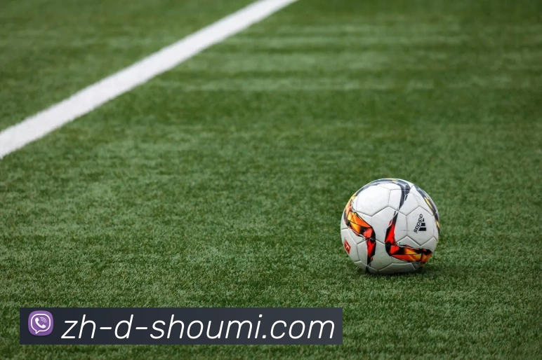 收米体育直播APP 封面图